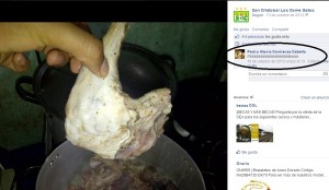 miiiiiiaaauuu.. el comentario es Todo (FB de Come Gatos)